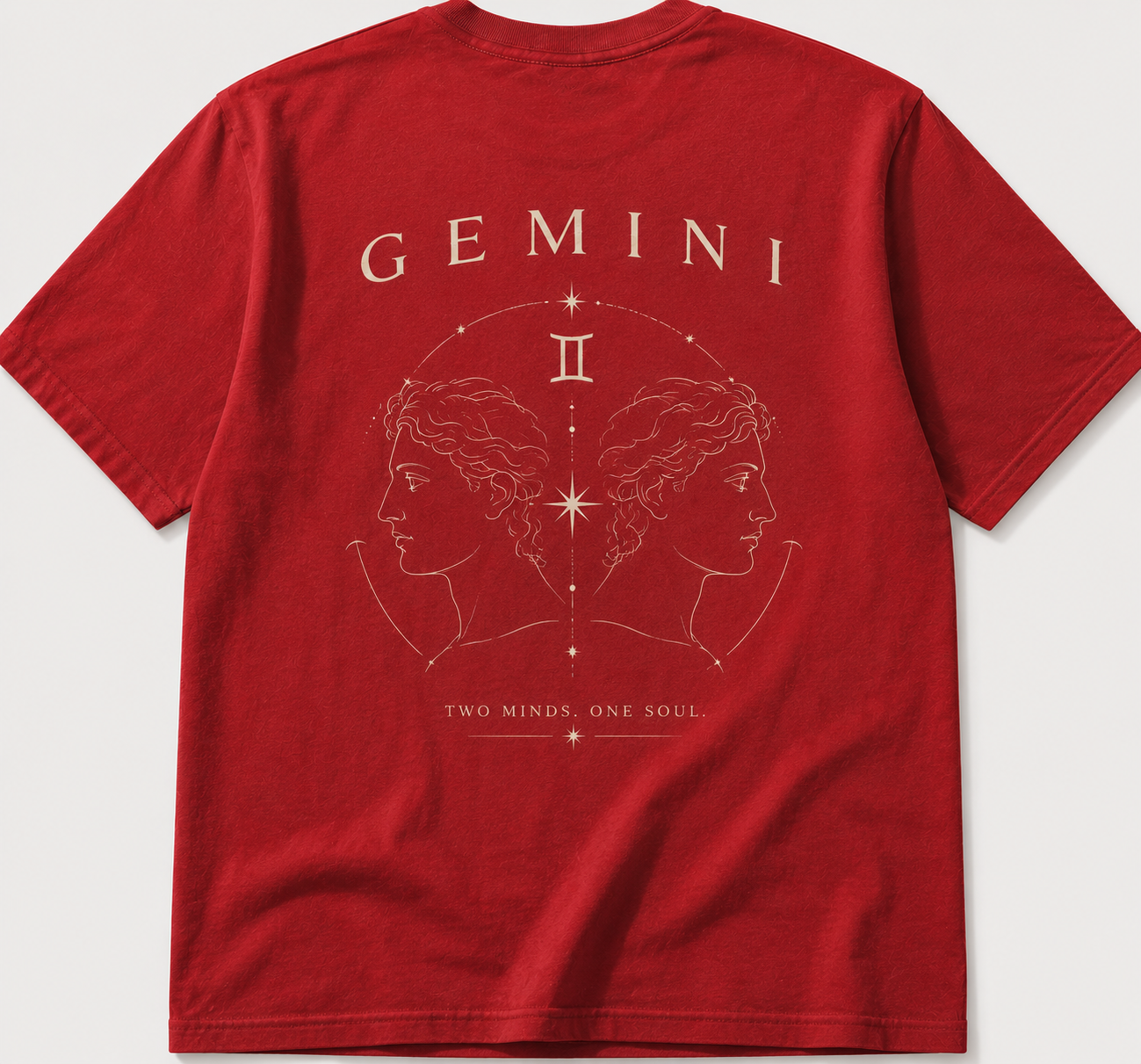Gemini Red Flag Tshirt